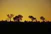 Western Australia - Sunset