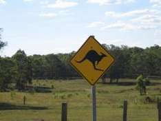 Randwick Council