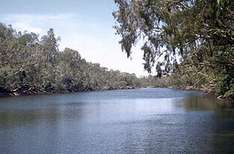 Jardine River National Park