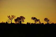Western Australia - Sunset