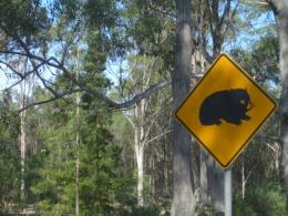 Hornsby Council - Sydney - New South Wales - Australia