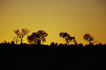 Western Australia - Sunset