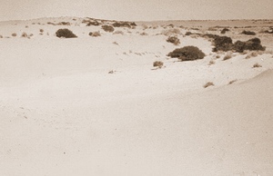 Simpson Desert National Park