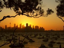 Sunset Sydney skyline